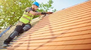 Best Roof Moss and Algae Removal  in Millwood, WA