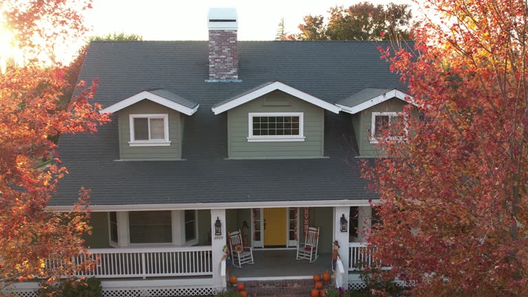 Best Skylight Installation and Repair  in Millwood, WA