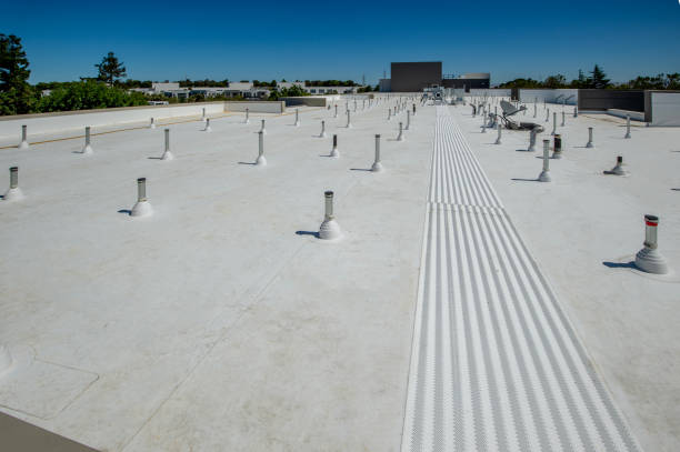 Best Roof Waterproofing  in Millwood, WA